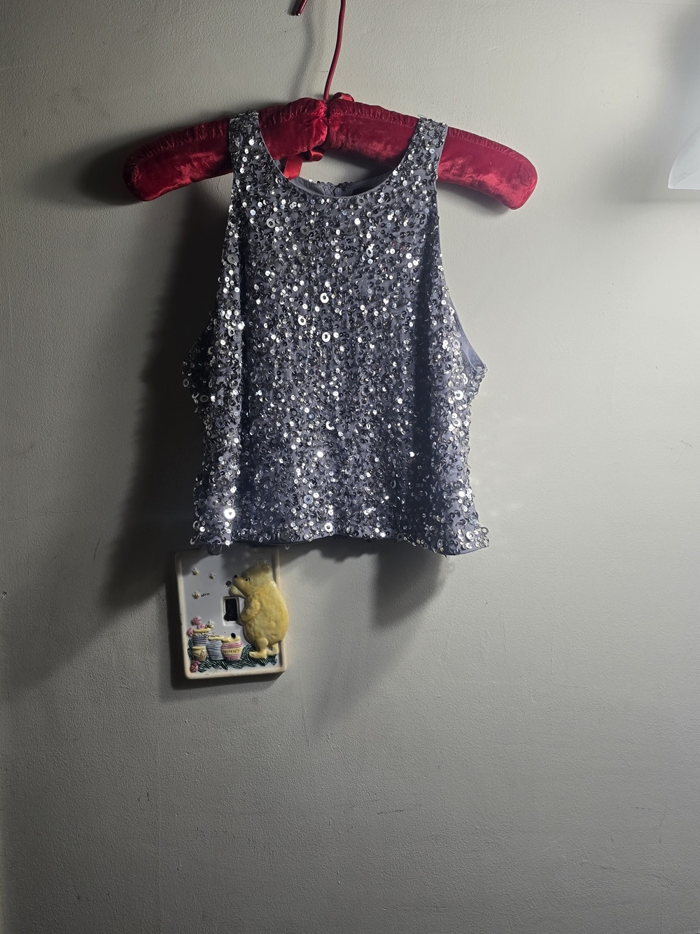 Adrianna Papell Silver-Gray Top (Label View)